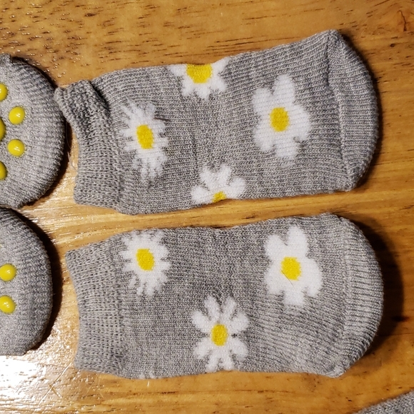 Gray and Daisy Print Matching Socks for Dog. - Picture 3 of 5